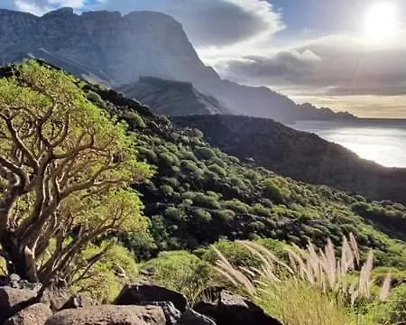 Apartament La Jacaranda *