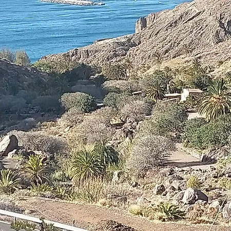 Apartament La Jacaranda