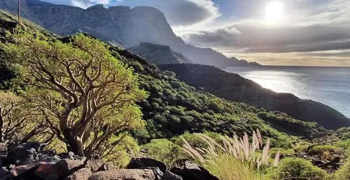 아파트 La Jacaranda *